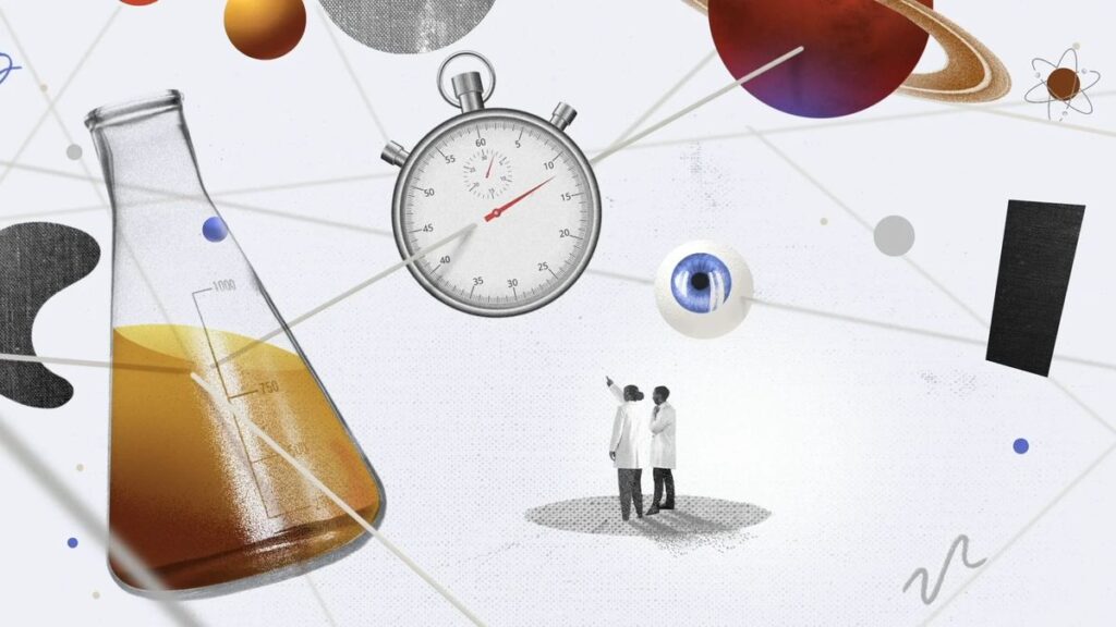 AI systems are tailored around policy logic