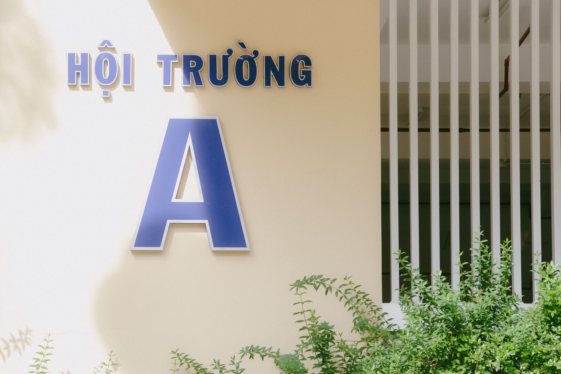 Beyond Legal: What’s Next for Vietnam’s Most Efficient AI?